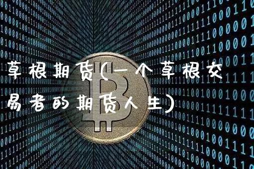 草根期货(一个草根交易者的期货人生)_https://www.hbxfywj.com_股票知识_第1张