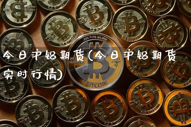 今日沪铝期货(今日沪铝期货实时行情)_https://www.hbxfywj.com_基金知识_第1张