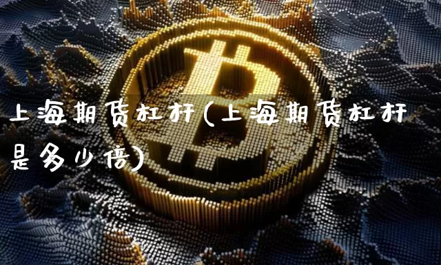 上海期货杠杆(上海期货杠杆是多少倍)_https://www.hbxfywj.com_基金知识_第1张