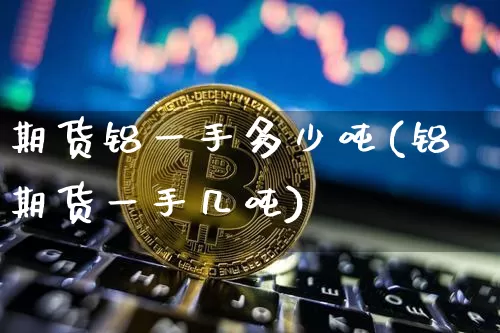 期货铝一手多少吨(铝期货一手几吨)_https://www.hbxfywj.com_股票知识_第1张