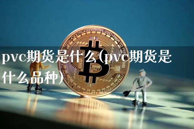 pvc期货是什么(pvc期货是什么品种)_https://www.hbxfywj.com_期货知识_第1张