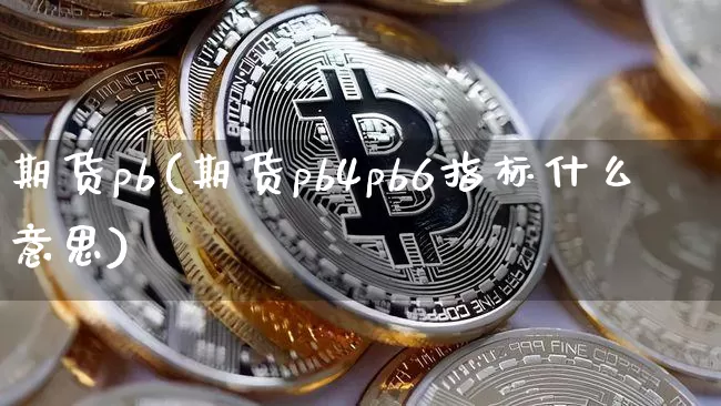 期货pb(期货pb4pb6指标什么意思)_https://www.hbxfywj.com_证券知识_第1张