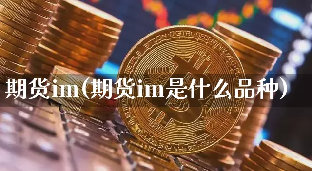 期货im(期货im是什么品种)_https://www.hbxfywj.com_基金知识_第1张
