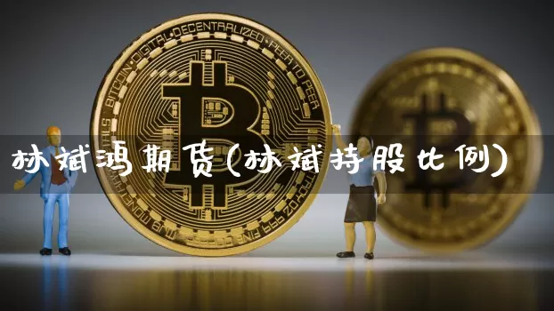 林斌鸿期货(林斌持股比例)_https://www.hbxfywj.com_基金知识_第1张