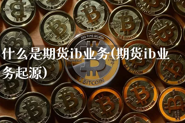 什么是期货ib业务(期货ib业务起源)_https://www.hbxfywj.com_证券知识_第1张