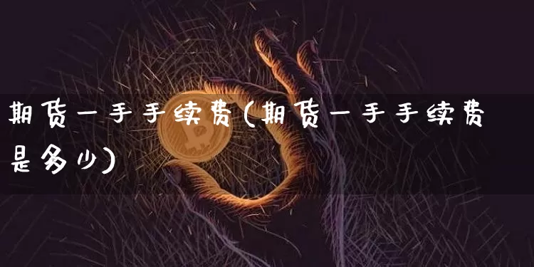 期货一手手续费(期货一手手续费是多少)_https://www.hbxfywj.com_股票知识_第1张