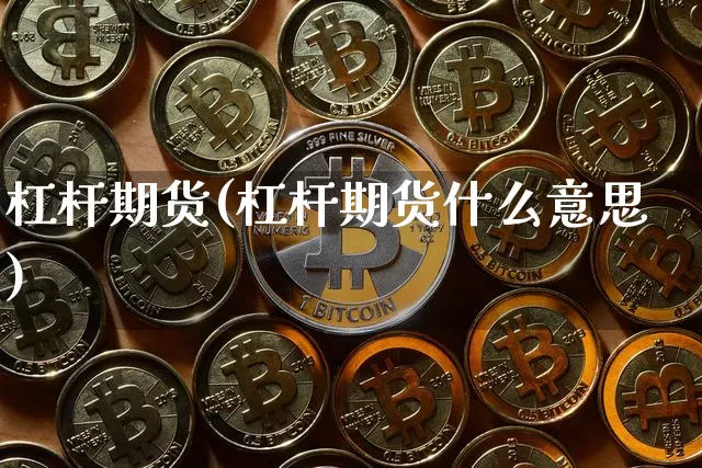杠杆期货(杠杆期货什么意思)_https://www.hbxfywj.com_基金知识_第1张