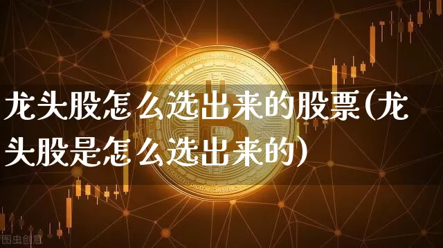 龙头股怎么选出来的股票(龙头股是怎么选出来的)_https://www.hbxfywj.com_股票知识_第1张