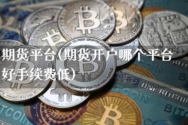 期货平台(期货开户哪个平台好手续费低)_https://www.hbxfywj.com_基金知识_第1张