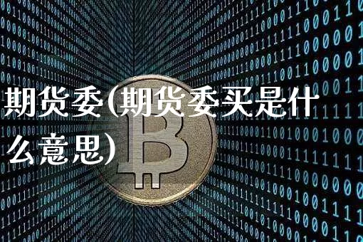 期货委(期货委买是什么意思)_https://www.hbxfywj.com_基金知识_第1张