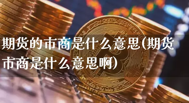 期货的市商是什么意思(期货市商是什么意思啊)_https://www.hbxfywj.com_基金知识_第1张