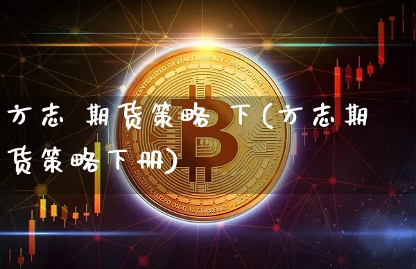 方志 期货策略 下(方志期货策略下册)_https://www.hbxfywj.com_证券知识_第1张