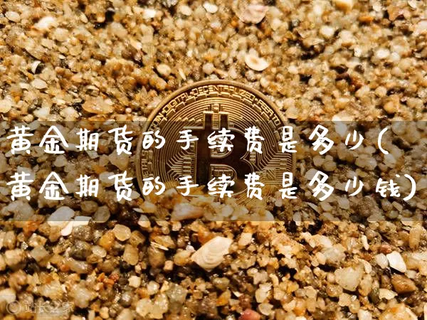 黄金期货的手续费是多少(黄金期货的手续费是多少钱)_https://www.hbxfywj.com_股票知识_第1张