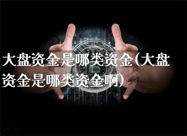 大盘资金是哪类资金(大盘资金是哪类资金啊)_https://www.hbxfywj.com_证券知识_第1张