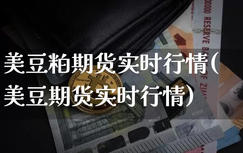 美豆粕期货实时行情(美豆期货实时行情)_https://www.hbxfywj.com_期货知识_第1张
