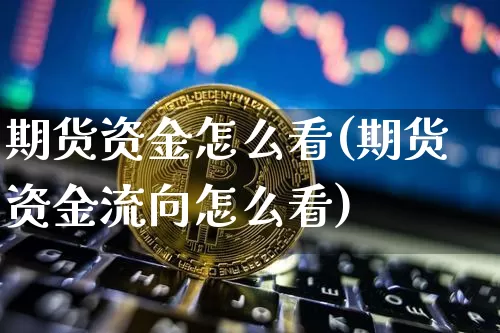 期货资金怎么看(期货资金流向怎么看)_https://www.hbxfywj.com_期货知识_第1张