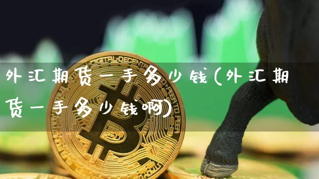 外汇期货一手多少钱(外汇期货一手多少钱啊)_https://www.hbxfywj.com_股票知识_第1张