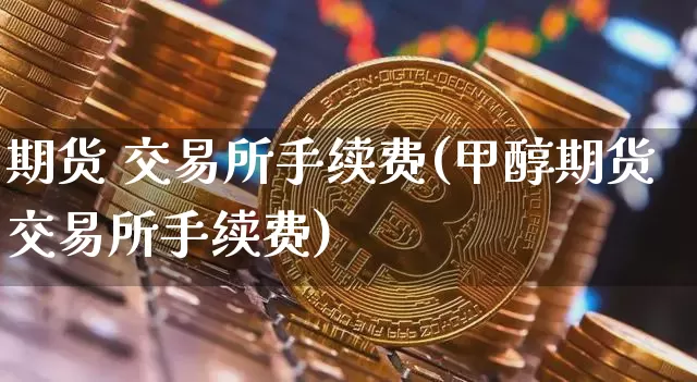 期货 交易所手续费(甲醇期货交易所手续费)_https://www.hbxfywj.com_证券知识_第1张