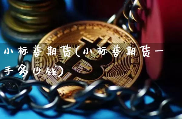 小标普期货(小标普期货一手多少钱)_https://www.hbxfywj.com_证券知识_第1张