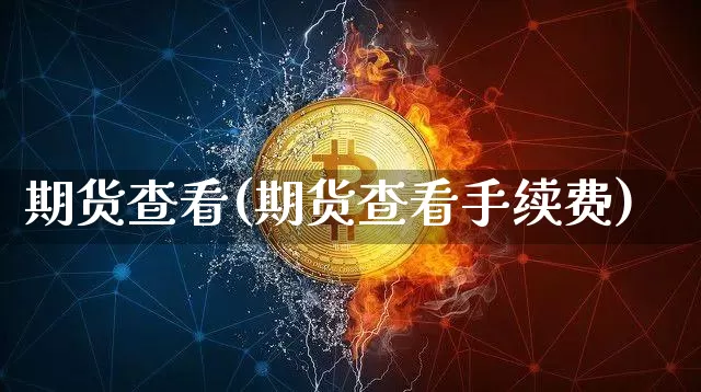 期货查看(期货查看手续费)_https://www.hbxfywj.com_基金知识_第1张