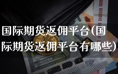 国际期货返佣平台(国际期货返佣平台有哪些)_https://www.hbxfywj.com_股票知识_第1张