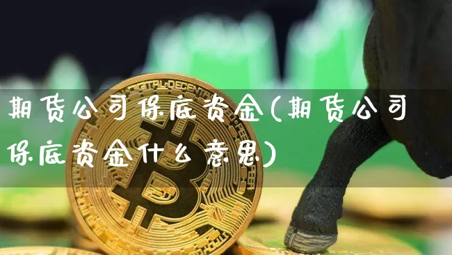期货公司保底资金(期货公司保底资金什么意思)_https://www.hbxfywj.com_证券知识_第1张