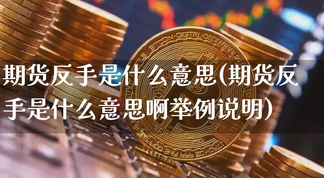 期货反手是什么意思(期货反手是什么意思啊举例说明)_https://www.hbxfywj.com_基金知识_第1张