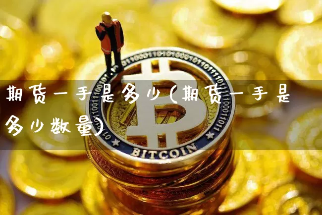 期货一手是多少(期货一手是多少数量)_https://www.hbxfywj.com_基金知识_第1张