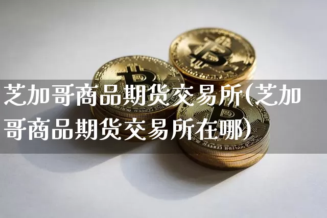 芝加哥商品期货交易所(芝加哥商品期货交易所在哪)_https://www.hbxfywj.com_证券知识_第1张