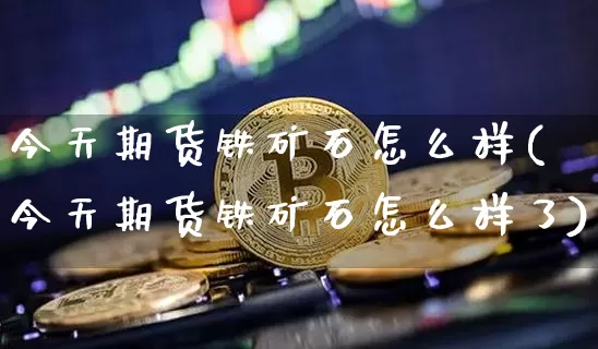 今天期货铁矿石怎么样(今天期货铁矿石怎么样了)_https://www.hbxfywj.com_期货知识_第1张