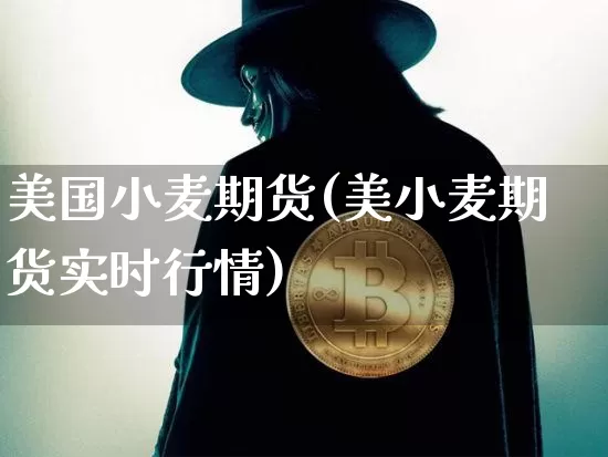 美国小麦期货(美小麦期货实时行情)_https://www.hbxfywj.com_证券知识_第1张