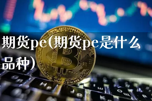 期货pe(期货pe是什么品种)_https://www.hbxfywj.com_期货知识_第1张
