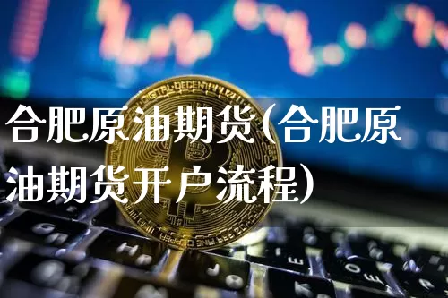 合肥原油期货(合肥原油期货开户流程)_https://www.hbxfywj.com_证券知识_第1张