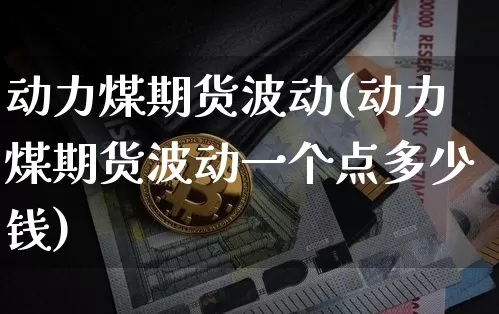 动力煤期货波动(动力煤期货波动一个点多少钱)_https://www.hbxfywj.com_股票知识_第1张