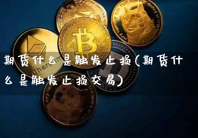 期货什么是触发止损(期货什么是触发止损交易)_https://www.hbxfywj.com_证券知识_第1张