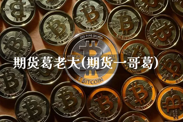 期货葛老大(期货一哥葛)_https://www.hbxfywj.com_基金知识_第1张