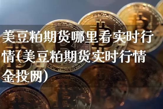 美豆粕期货哪里看实时行情(美豆粕期货实时行情金投网)_https://www.hbxfywj.com_期货知识_第1张