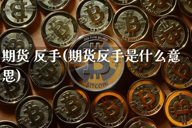 期货 反手(期货反手是什么意思)_https://www.hbxfywj.com_基金知识_第1张