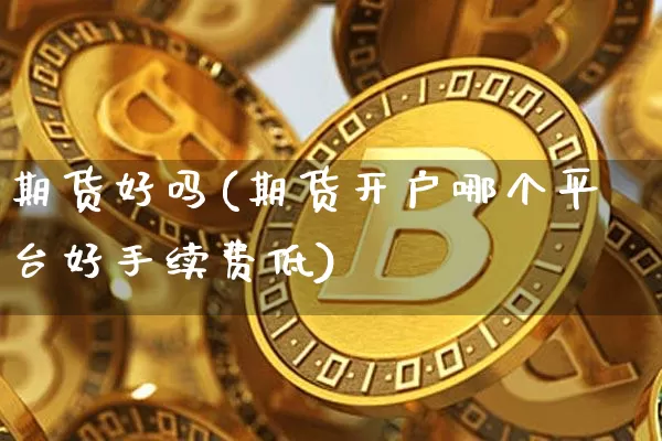 期货好吗(期货开户哪个平台好手续费低)_https://www.hbxfywj.com_期货知识_第1张