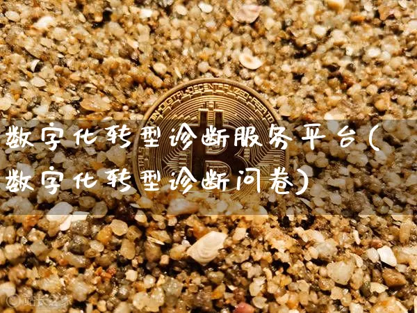 数字化转型诊断服务平台(数字化转型诊断问卷)_https://www.hbxfywj.com_期货知识_第1张