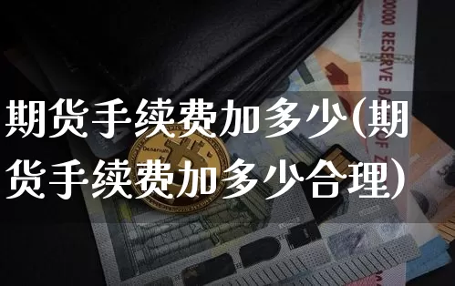 期货手续费加多少(期货手续费加多少合理)_https://www.hbxfywj.com_基金知识_第1张