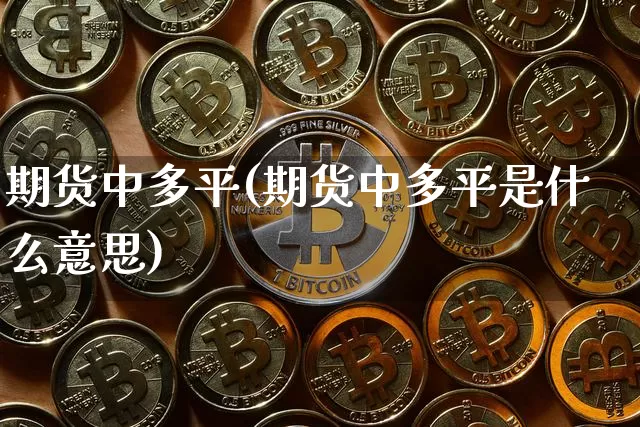 期货中多平(期货中多平是什么意思)_https://www.hbxfywj.com_基金知识_第1张