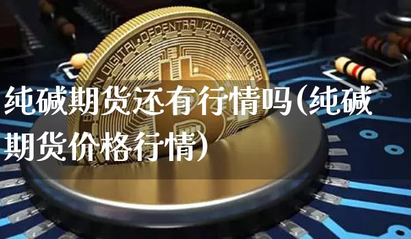 纯碱期货还有行情吗(纯碱期货价格行情)_https://www.hbxfywj.com_证券知识_第1张