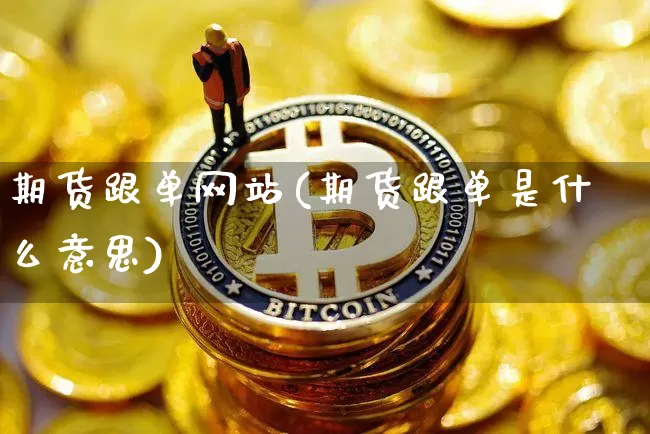 期货跟单网站(期货跟单是什么意思)_https://www.hbxfywj.com_期货知识_第1张