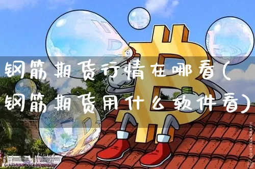 钢筋期货行情在哪看(钢筋期货用什么软件看)_https://www.hbxfywj.com_期货知识_第1张