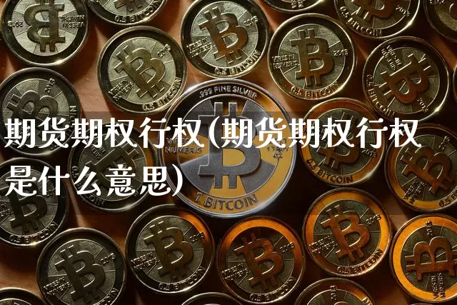期货期权行权(期货期权行权是什么意思)_https://www.hbxfywj.com_期货知识_第1张