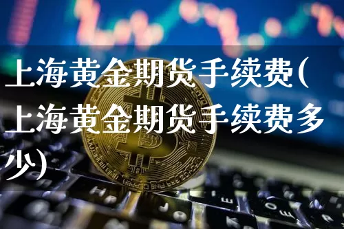 上海黄金期货手续费(上海黄金期货手续费多少)_https://www.hbxfywj.com_期货知识_第1张