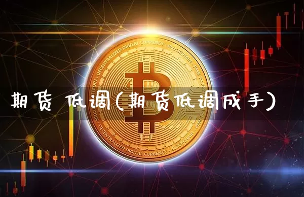期货 低调(期货低调成手)_https://www.hbxfywj.com_基金知识_第1张