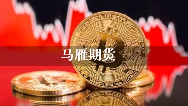 马雁期货_https://www.hbxfywj.com_证券知识_第1张