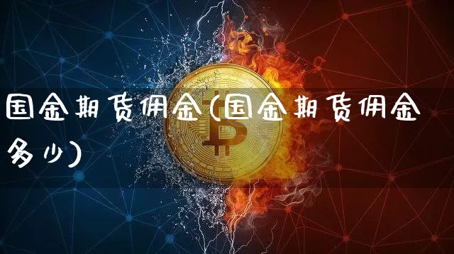 国金期货佣金(国金期货佣金多少)_https://www.hbxfywj.com_期货知识_第1张